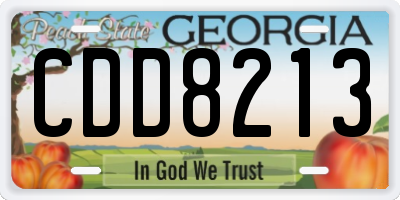 GA license plate CDD8213