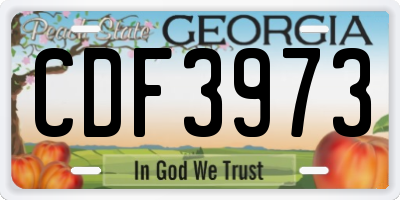 GA license plate CDF3973
