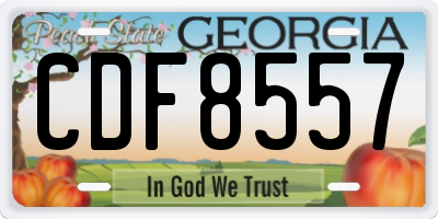 GA license plate CDF8557