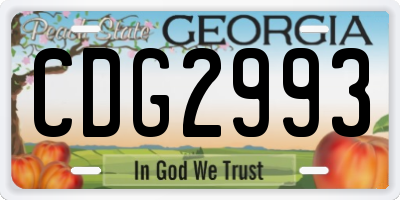 GA license plate CDG2993