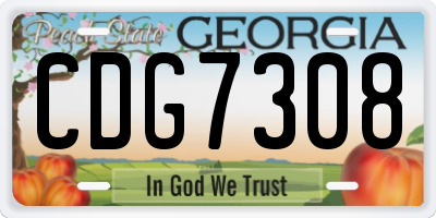 GA license plate CDG7308