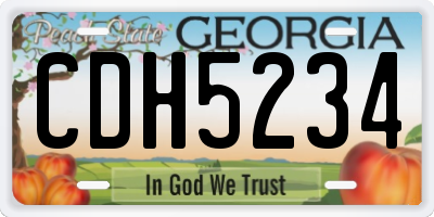 GA license plate CDH5234