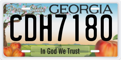 GA license plate CDH7180