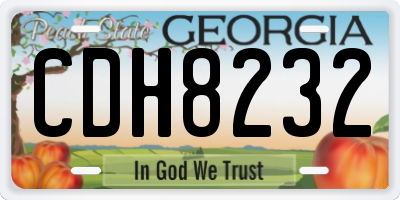 GA license plate CDH8232