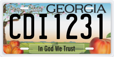 GA license plate CDI1231