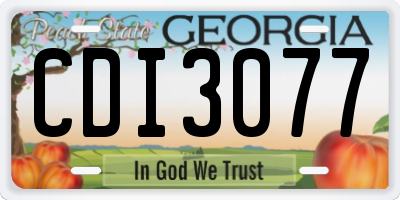 GA license plate CDI3077