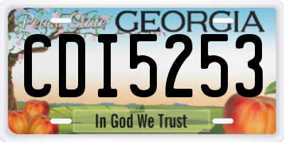 GA license plate CDI5253