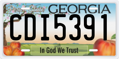 GA license plate CDI5391