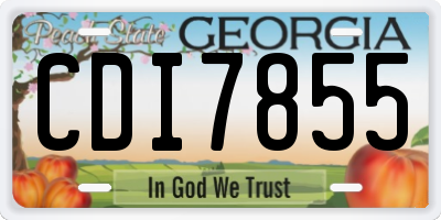 GA license plate CDI7855