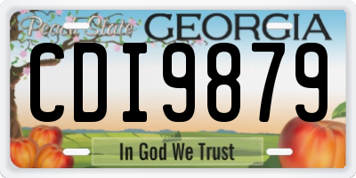 GA license plate CDI9879