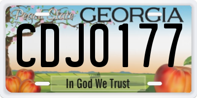 GA license plate CDJ0177