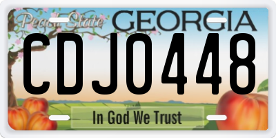 GA license plate CDJ0448