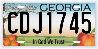 GA license plate CDJ1745