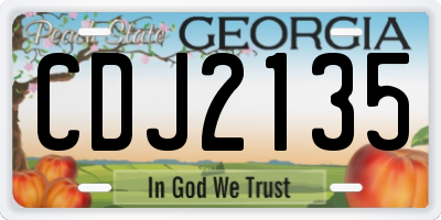GA license plate CDJ2135