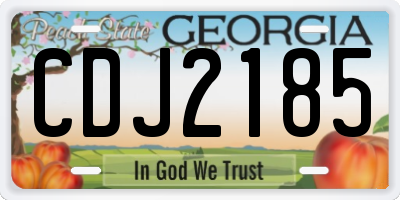 GA license plate CDJ2185