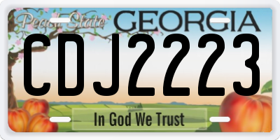 GA license plate CDJ2223