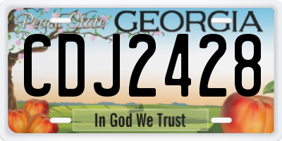 GA license plate CDJ2428