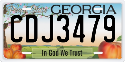 GA license plate CDJ3479