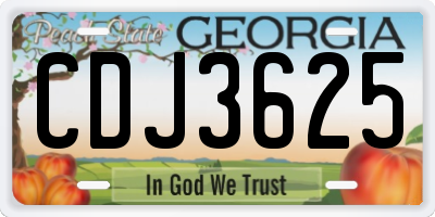 GA license plate CDJ3625