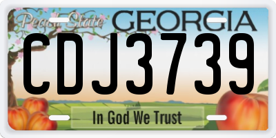 GA license plate CDJ3739