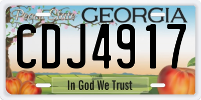 GA license plate CDJ4917