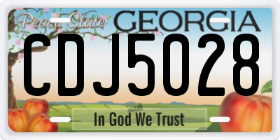 GA license plate CDJ5028