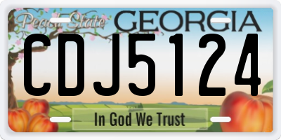 GA license plate CDJ5124