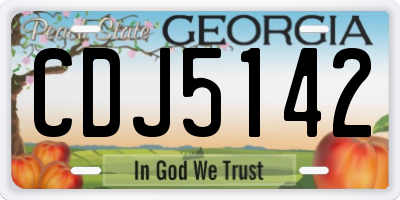 GA license plate CDJ5142
