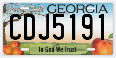 GA license plate CDJ5191