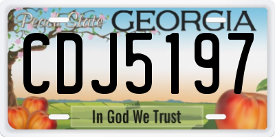 GA license plate CDJ5197