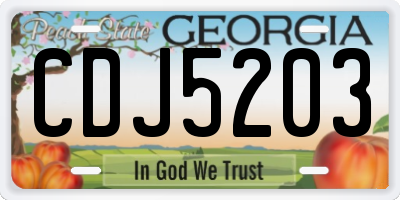 GA license plate CDJ5203