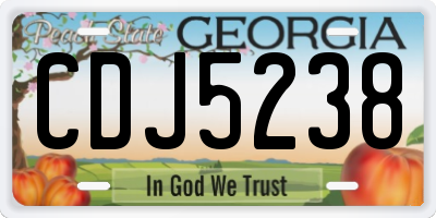 GA license plate CDJ5238