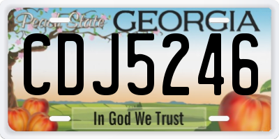 GA license plate CDJ5246