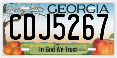 GA license plate CDJ5267