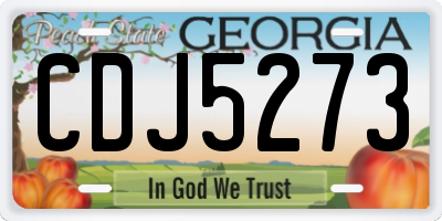 GA license plate CDJ5273