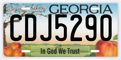 GA license plate CDJ5290