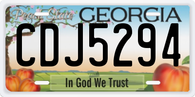 GA license plate CDJ5294