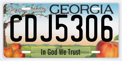 GA license plate CDJ5306