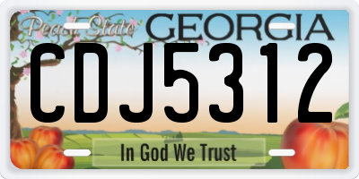 GA license plate CDJ5312
