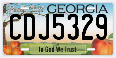 GA license plate CDJ5329