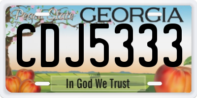 GA license plate CDJ5333