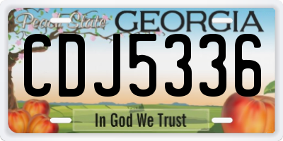 GA license plate CDJ5336