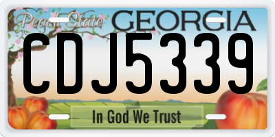 GA license plate CDJ5339