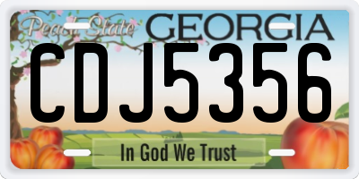 GA license plate CDJ5356