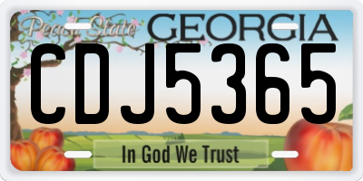 GA license plate CDJ5365