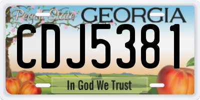 GA license plate CDJ5381
