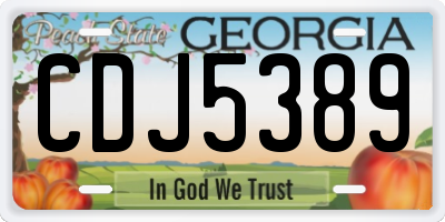 GA license plate CDJ5389