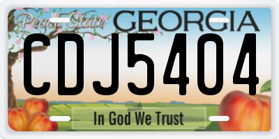 GA license plate CDJ5404