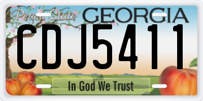 GA license plate CDJ5411