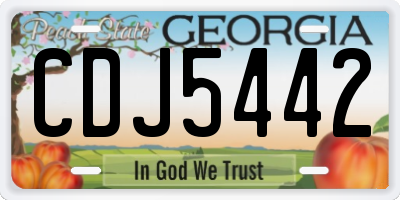 GA license plate CDJ5442